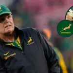 Big guns return as World Cup winners named in Springboks squad to face ABs - NZ Herald
