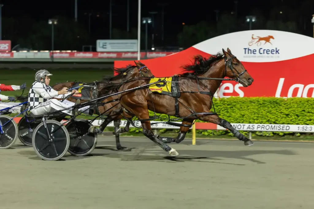 Grimson puts faith in teenager for $1 million Inter Dominion showdown