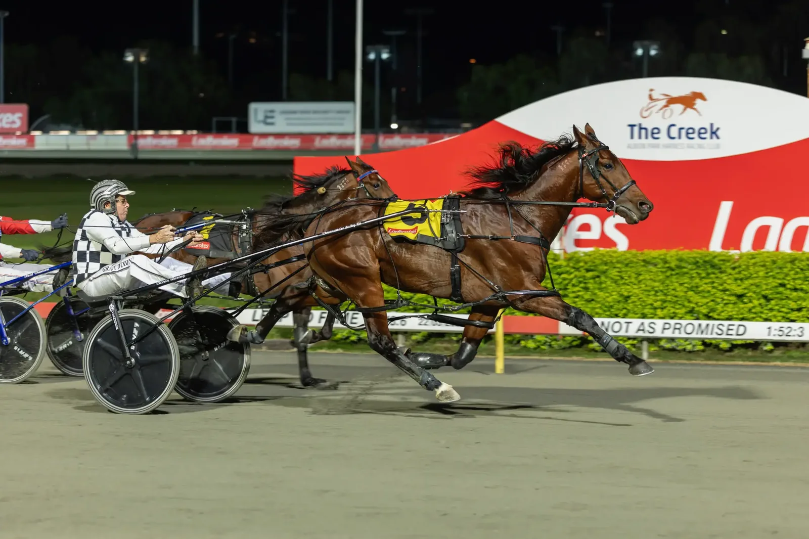 Grimson puts faith in teenager for $1 million Inter Dominion showdown