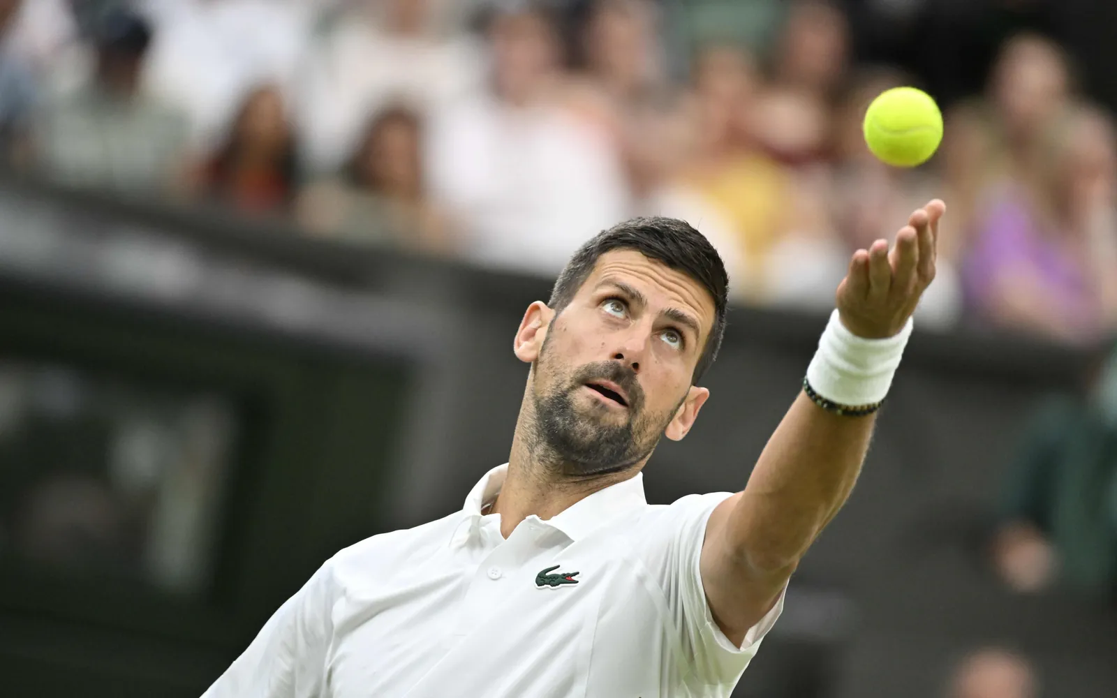 Novak Djokovic at Wimbledon.